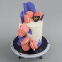 Clingy Macaron Cake - Designer Cake