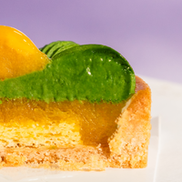 Four Seasons Petit Gâteaux