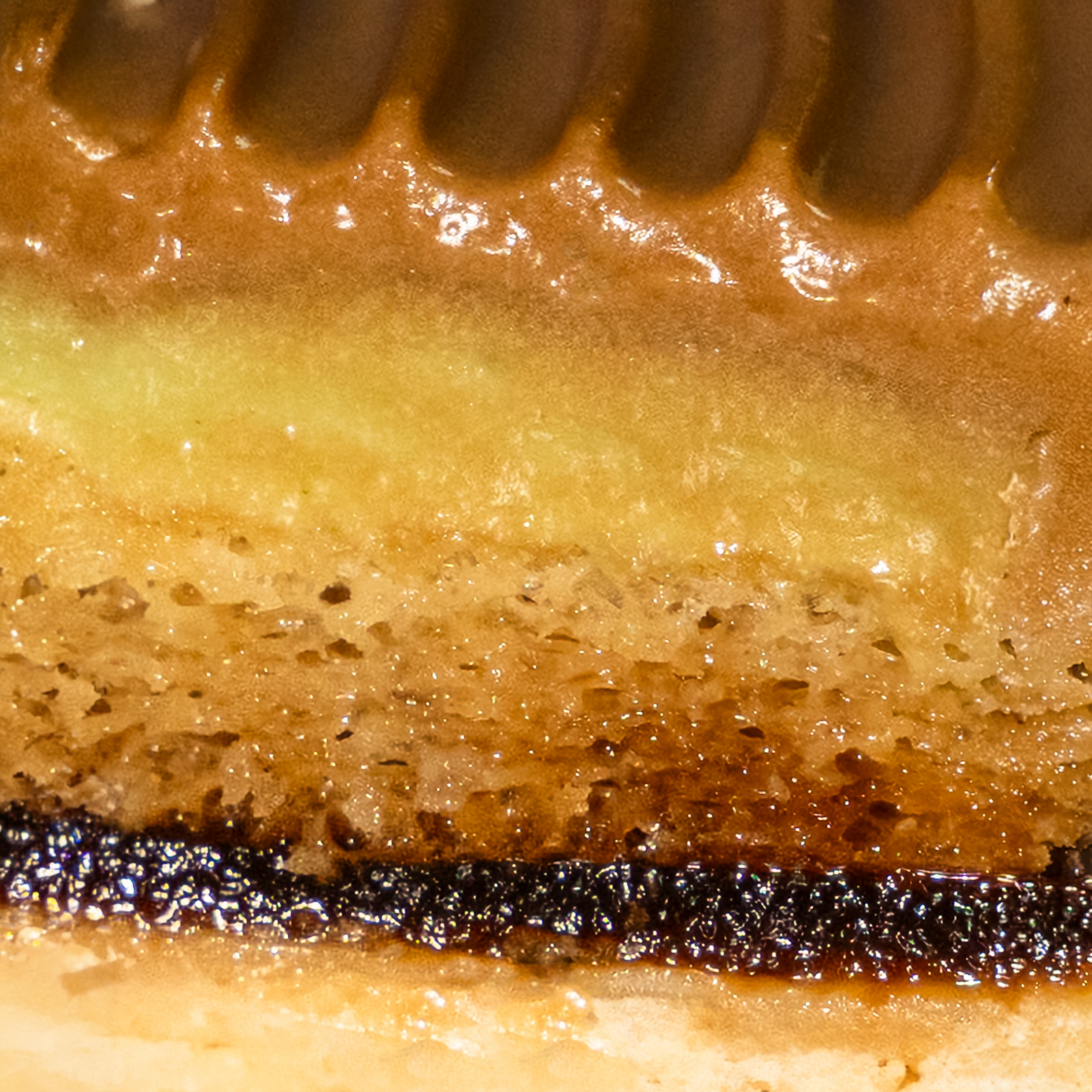 Second cross-section of the pandan coffee tart showing the filling against the pastry shell — Elevete Patisserie