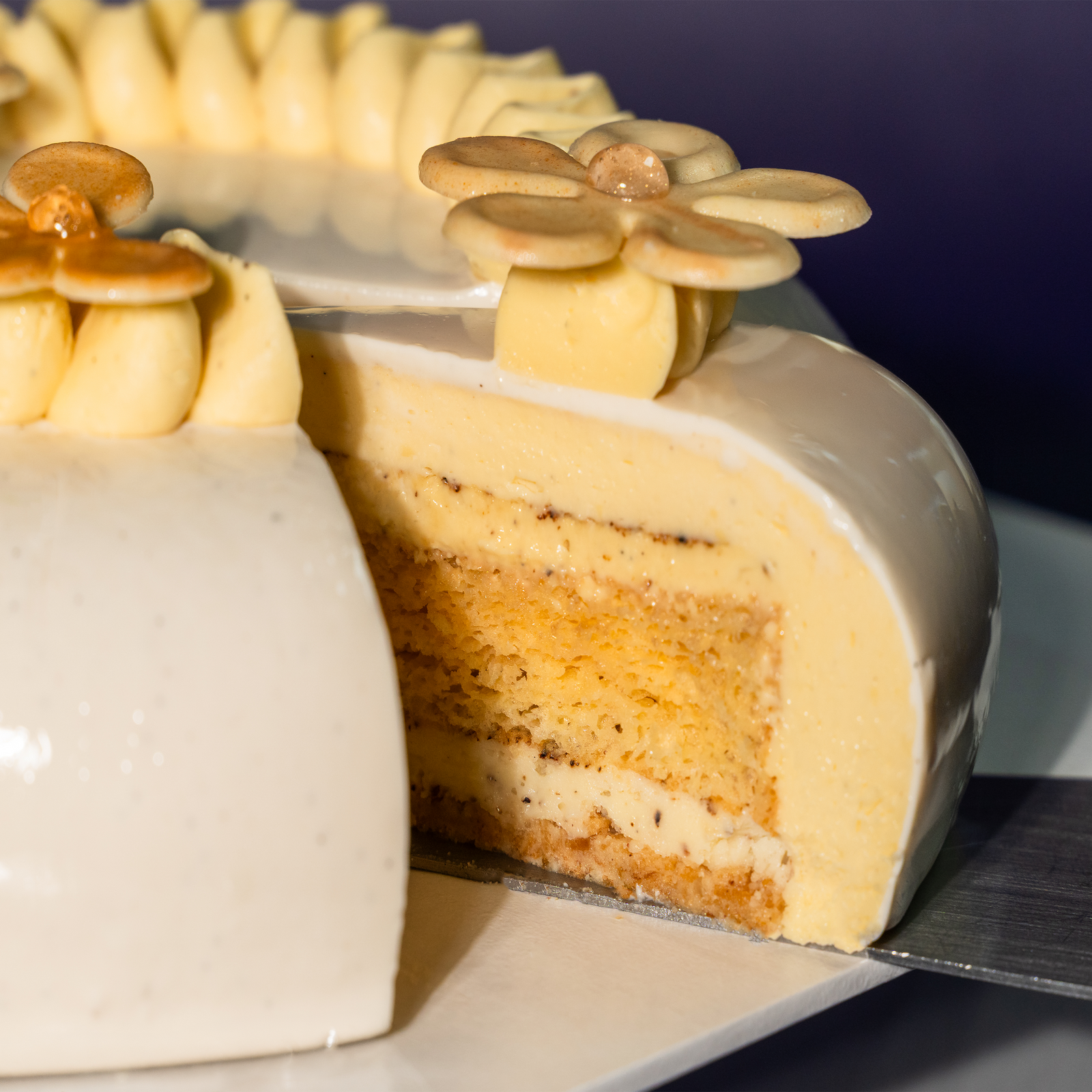 Vanilla Mirror Glaze Entremet