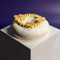 Vanilla Mirror Glaze Entremet