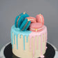 Gender Reveal 5 inch (1kg)